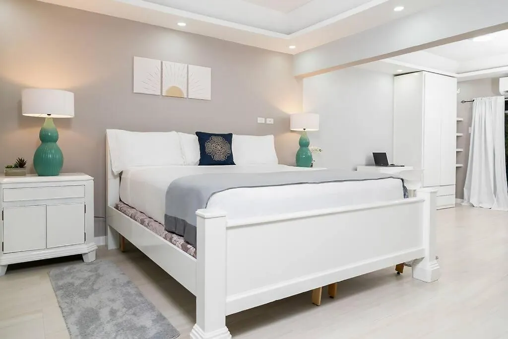 Carter'S Nest Villa - New Kingston - Fiwi